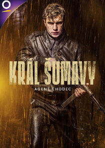 Král Šumavy poster