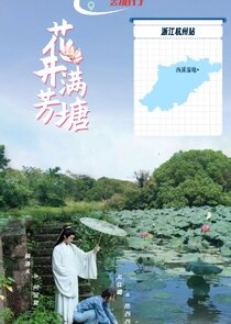 The Pond is Adorned with Blossoming Lotus poster