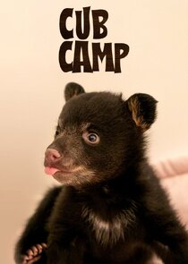 Cub Camp poster