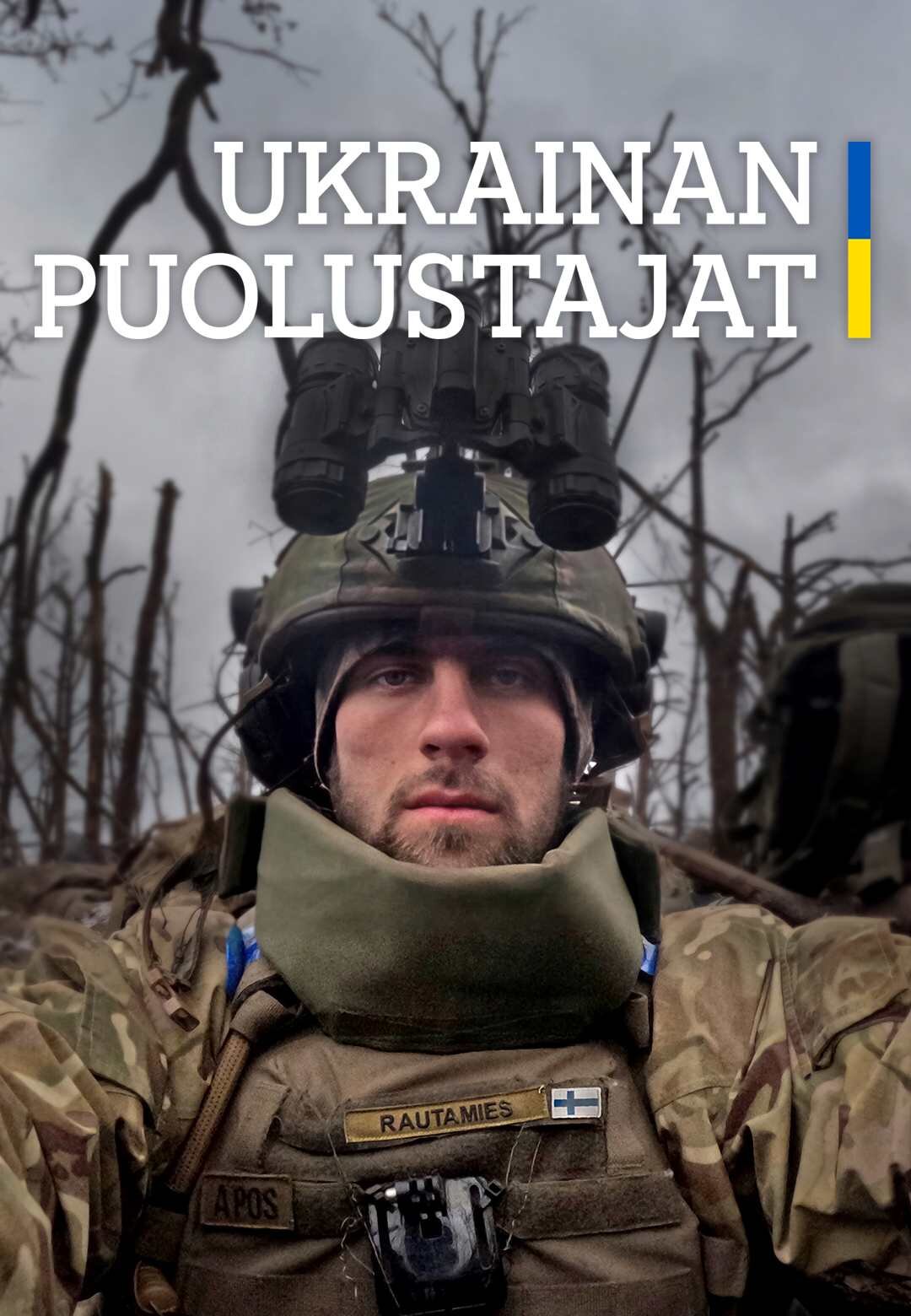 Ukrainan puolustajat poster