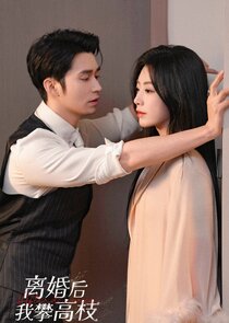 After Divorce poster