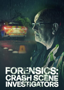 Forensics: Crash Scene Investigators poster