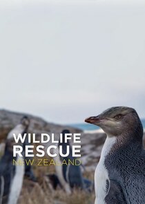 Wildlife Rescue New Zealand poster