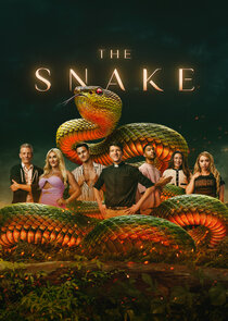 The Snake poster