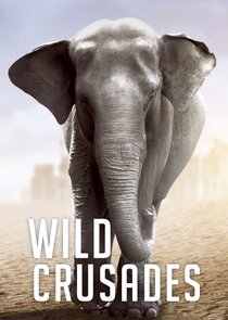 Wild Crusades poster