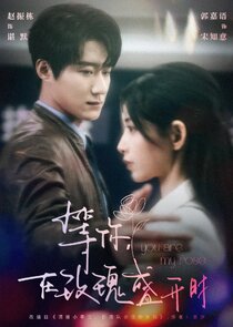 You Are My Rose poster
