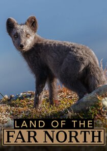 Polartag/Polarnacht poster