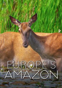 Europe's Amazon poster