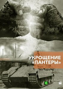 Укрощение «Пантеры» poster