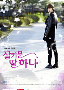 A Well Grown Daughter, Hana poster