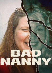 Bad Nanny poster