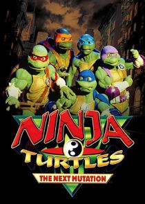 Ninja Turtles: The Next Mutation poster