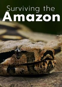 Surviving the Amazon poster