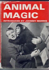 Animal Magic poster