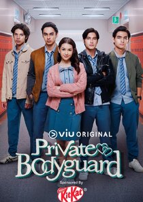 Private Bodyguard poster