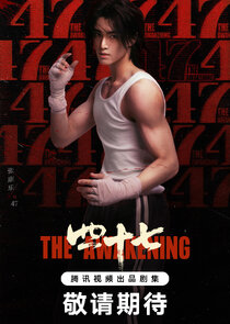 The Awakening poster