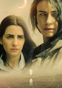 Fireflies poster