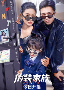 Disguised Family poster