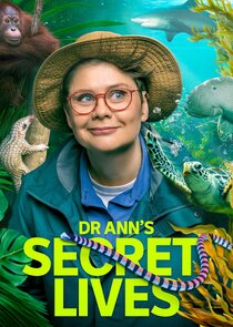 Dr Ann's Secret Lives poster