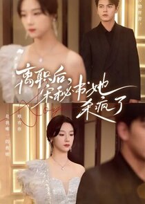 After Resigning, Secretary Song Went Crazy poster