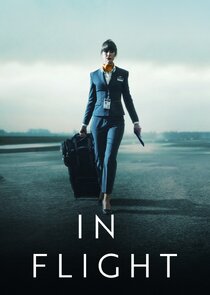 In Flight poster