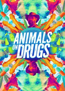 Animals on Drugs poster