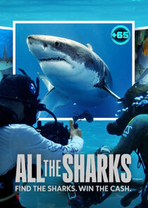 All the Sharks poster