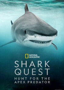 Shark Quest: Hunt For The Apex Predator poster