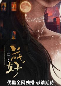 Blossom poster