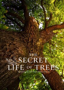 The Secret Life of Trees poster