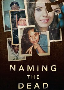 Naming the Dead poster