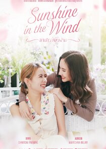 Sunshine in the Wind poster