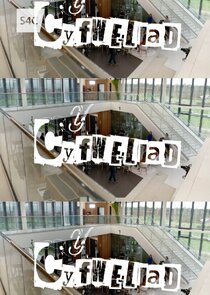 Y Cyfweliad poster