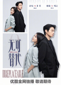 Irreplaceable poster