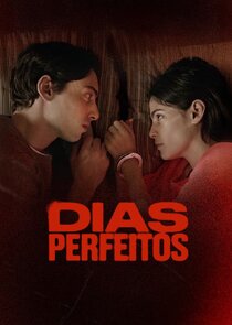 Dias Perfeitos poster