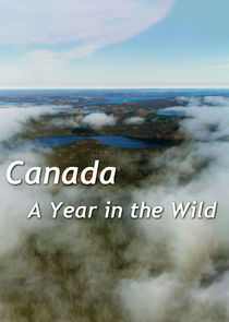 A Year in the Wild poster