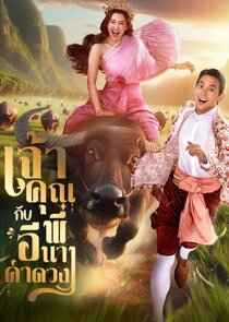My Sassy Wedding poster