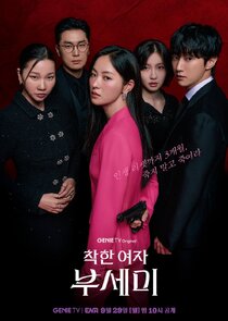 Ms. Incognito poster