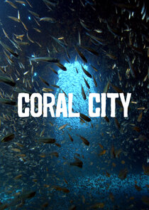 Coral City poster