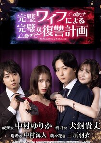 The Flawless Revenge by the Flawless Wife poster