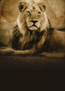 Into the Pride Lands poster
