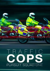 Traffic Cops: Pursuit Squad One poster