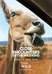 Close Encounters of the Wild Kind poster