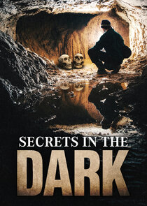 Secrets in the Dark poster