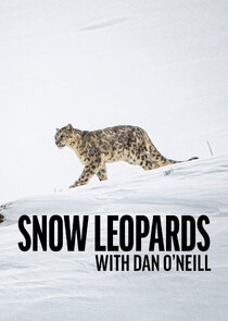 Snow Leopards with Dan O'Neill poster