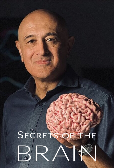 Secrets of the Brain poster