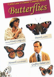 Butterflies poster