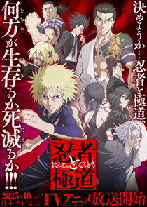 Ninja vs. Gokudo poster