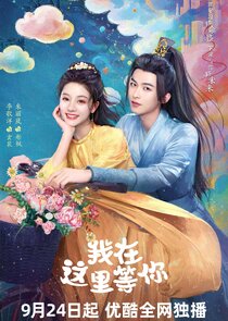 Wo Zai Zhe Li Deng Ni poster