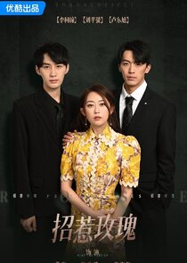 Provoke Roses poster